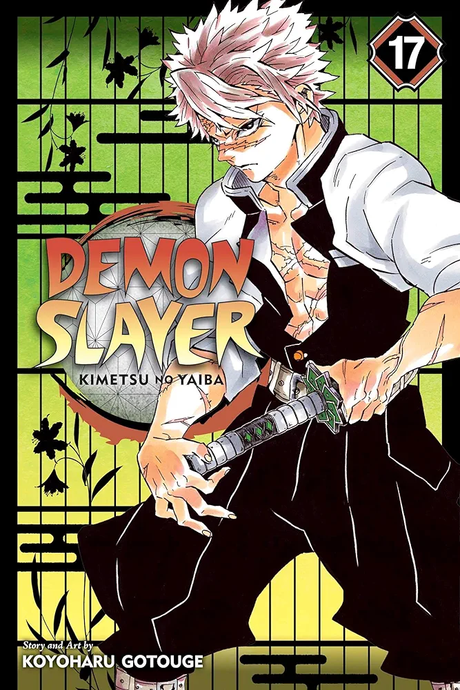 Demon slayer 17