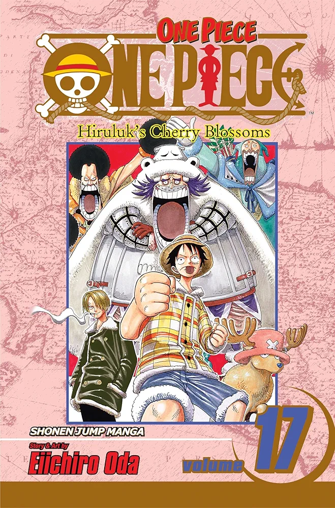 One piece 17